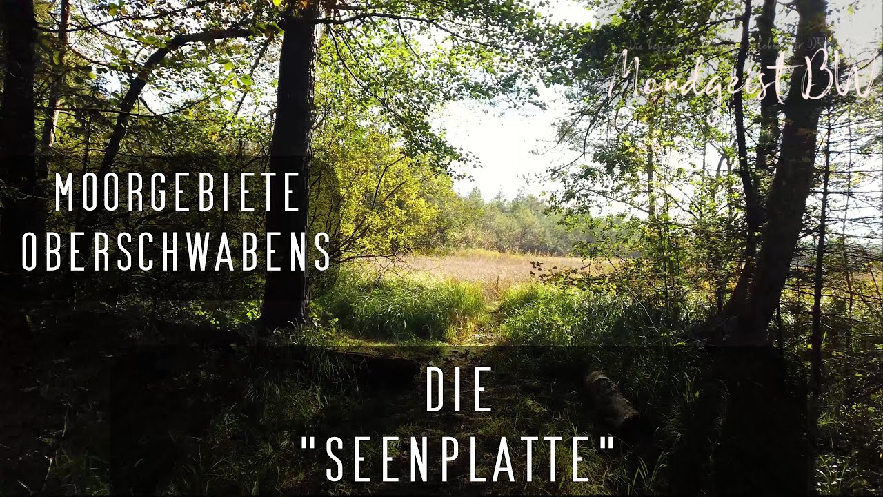 Die Seenplatte [4K] | Moorgebiete in Oberschwaben