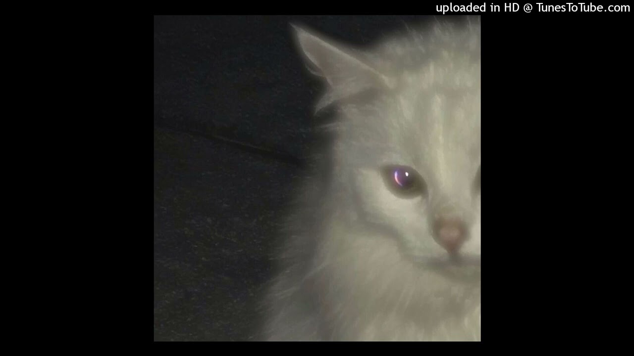 2021 lucki type