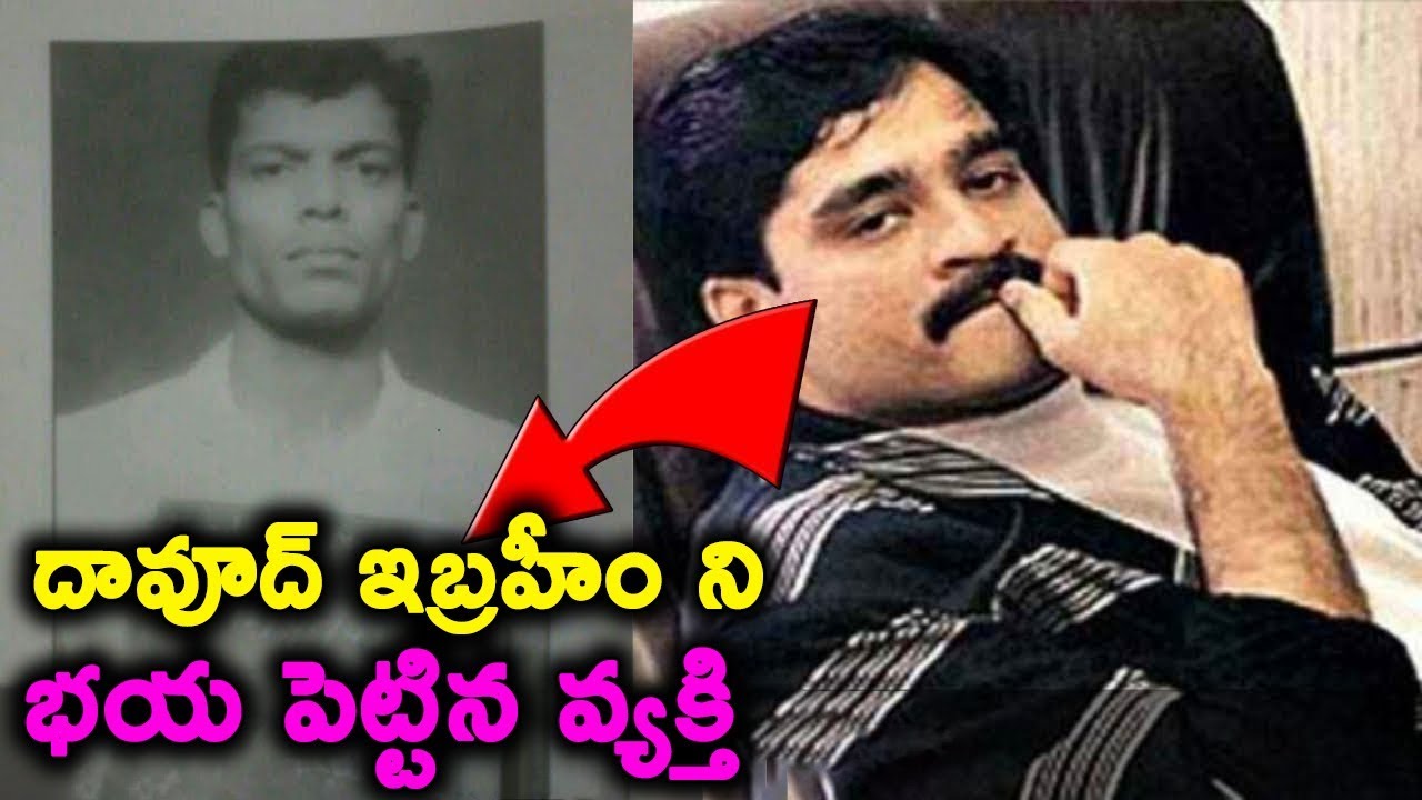Manya Survey Biography || T Talks
