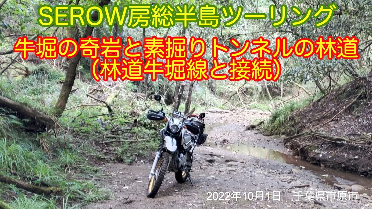 SEROW房総半島ツーリング 牛堀の奇岩と素掘りトンネルの林道（林道牛堀線と接続）　2022年10月1日　千葉県市原市