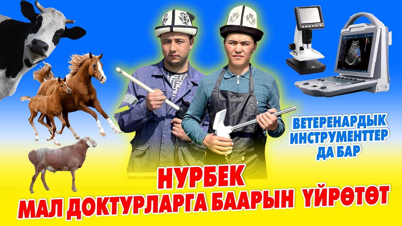 Жаш ВЕТВРАЧТАРГА жаңы инструменттер менен иштөөнү ҮЙРӨТӨБҮЗ ~ АППАРАТТАРДЫ таап, АЛЫП БЕРЕБИЗ