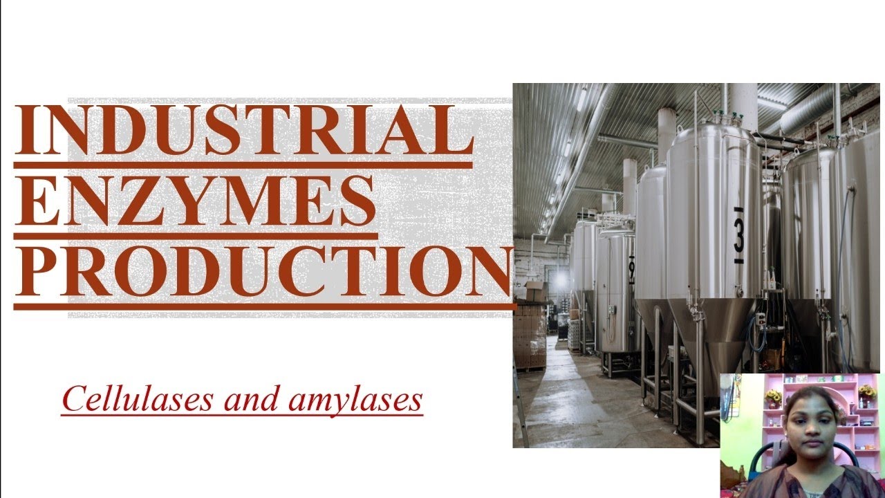 Industrial production of enzymes- Cellulases and amylases