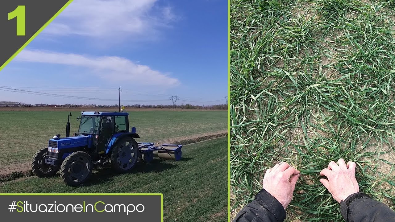 Situazione In Campo EP 1 [NUOVA SERIE] - FASE DI ACCESTIMENTO E CONCIMAZIONE!