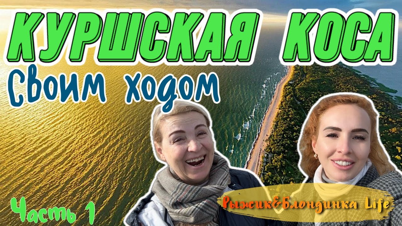 КУРШСКАЯ КОСА Зеленоградск 🤩Добраться самим НЕДОРОГО проще, чем кажется 😉 Дюны и Балтика ждут тебя❗️