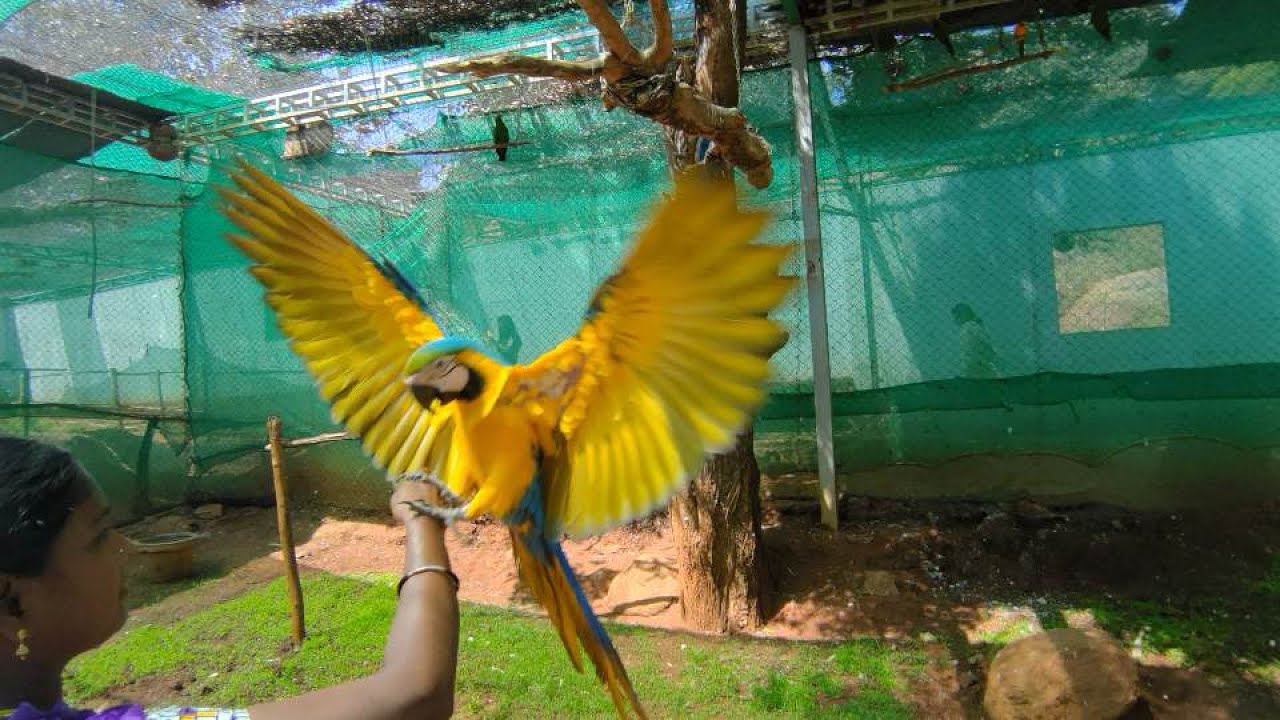 Fundera Park.. Birds Paradise in Yelagiri. DO watch 7D show #Weekendride#Yelagiri #BajajDominar400