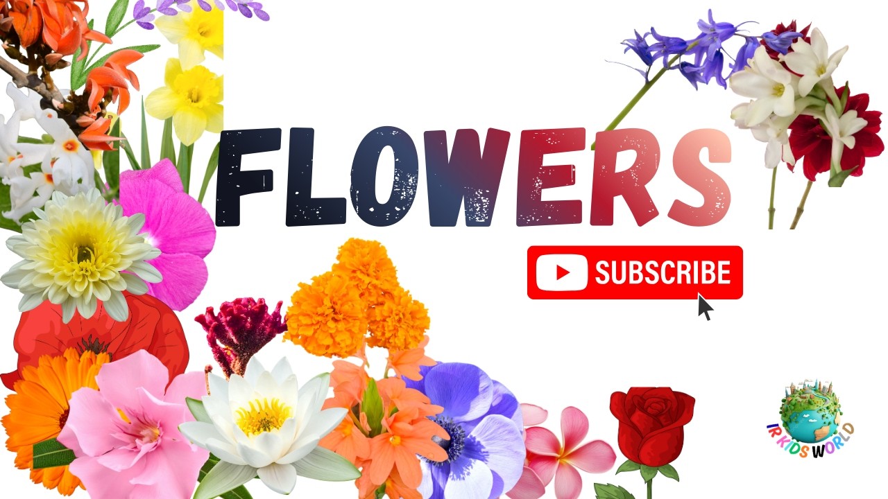 Flowers Name | Learn Flowers Name in English & Uses | 50 Flowers Name | IR KIDS WORLD