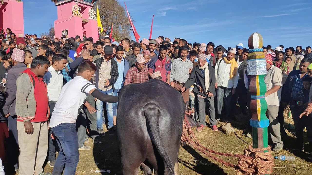 Melauli jaat ma sab vhanda thulo ramgo