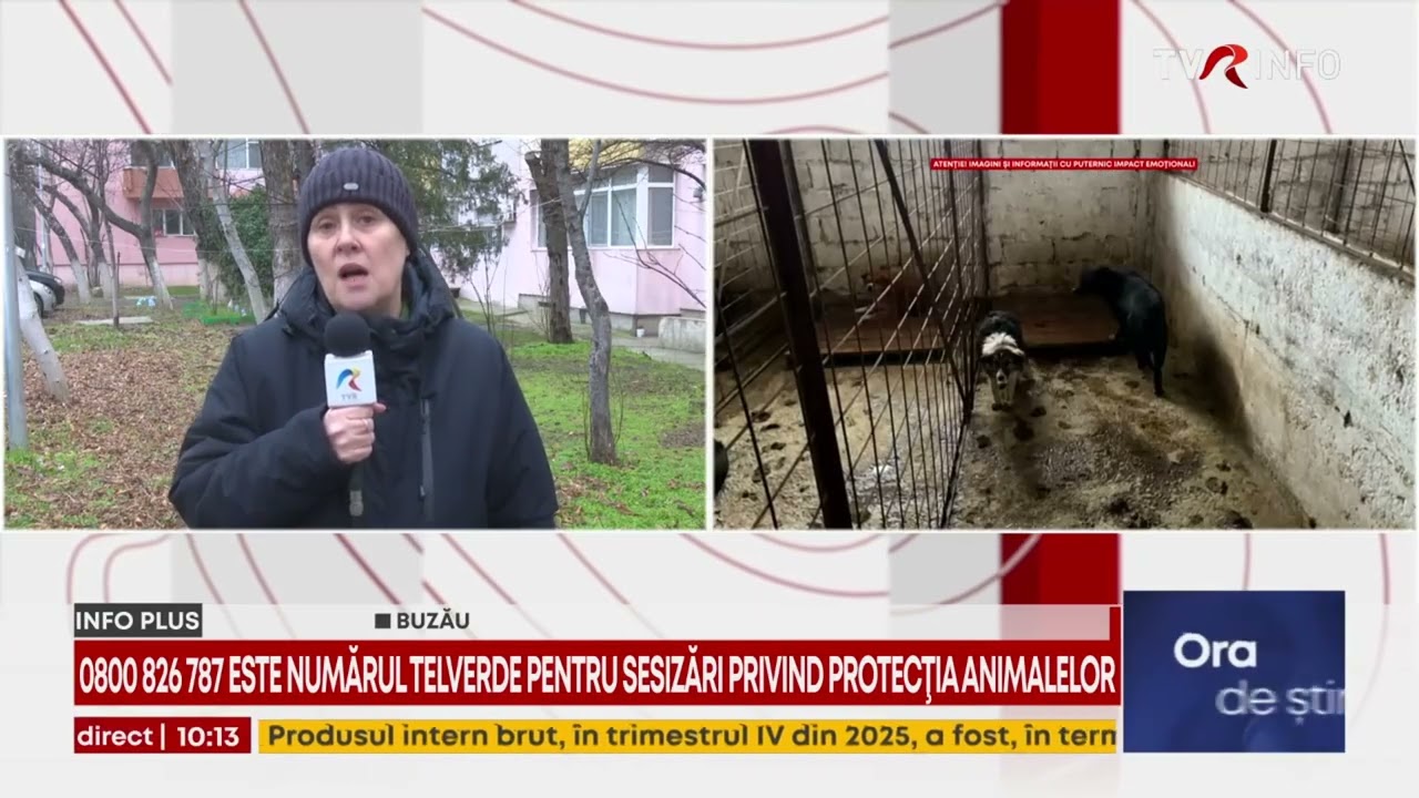 Au fost percheziţii la padocul groazei din Vrancea