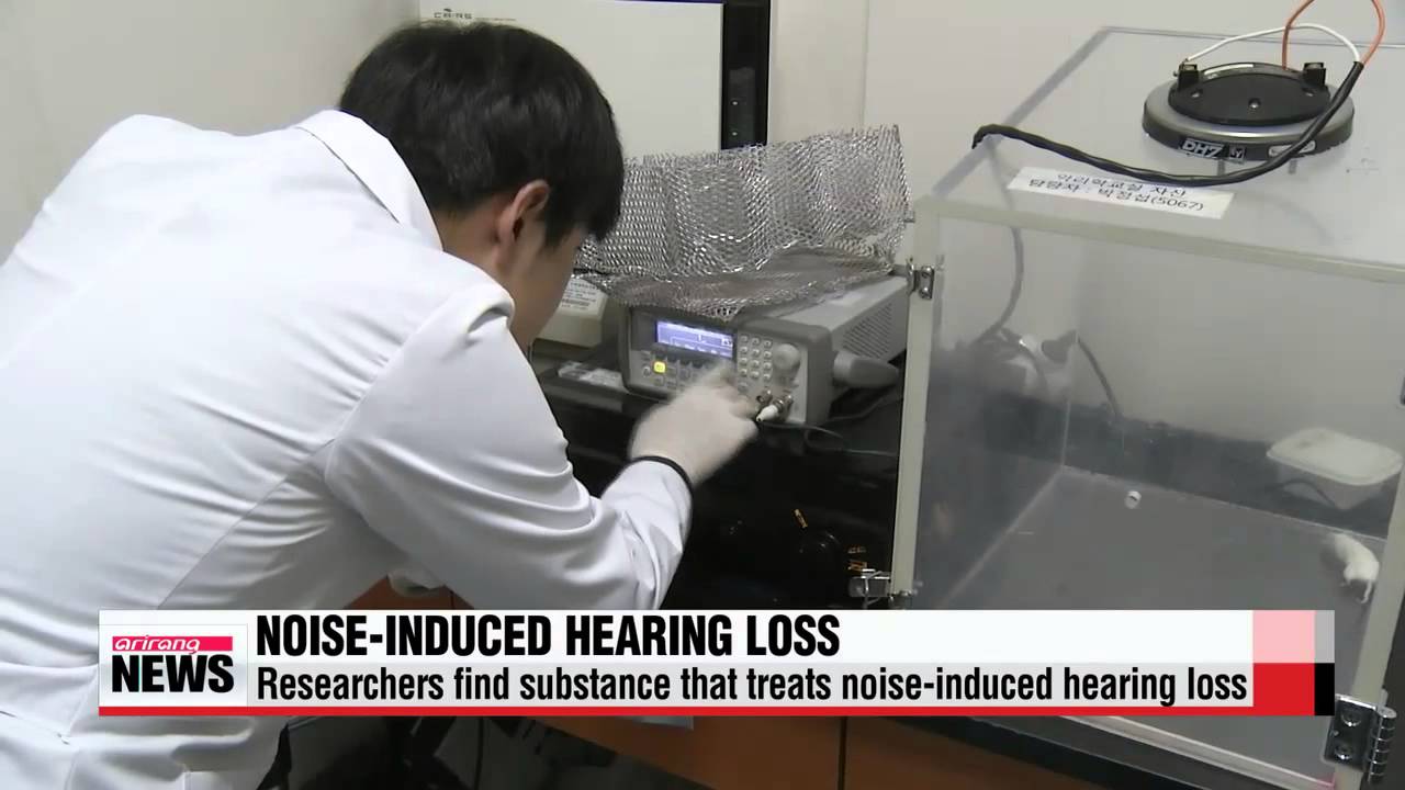 Local researchers find substance to treat noise induced hearing loss