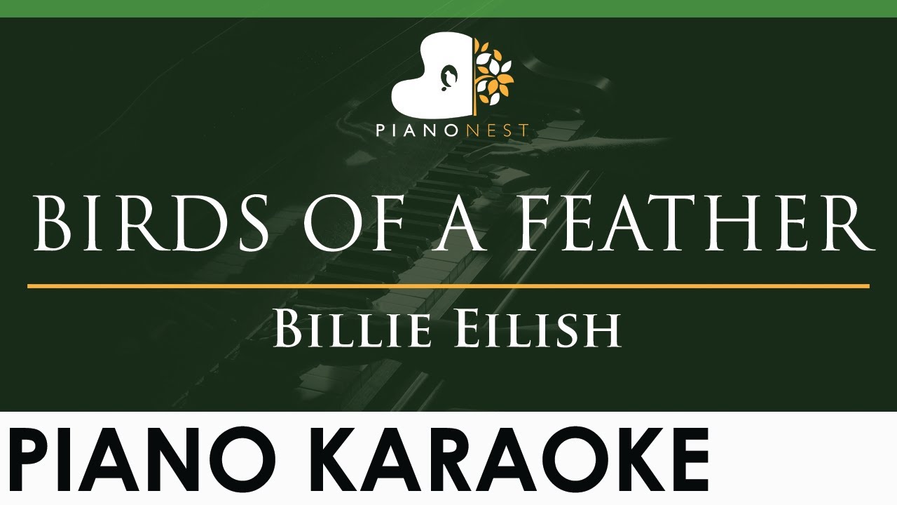 Billie Eilish - BIRDS OF A FEATHER - LOWER Key (Piano Karaoke Instrumental)