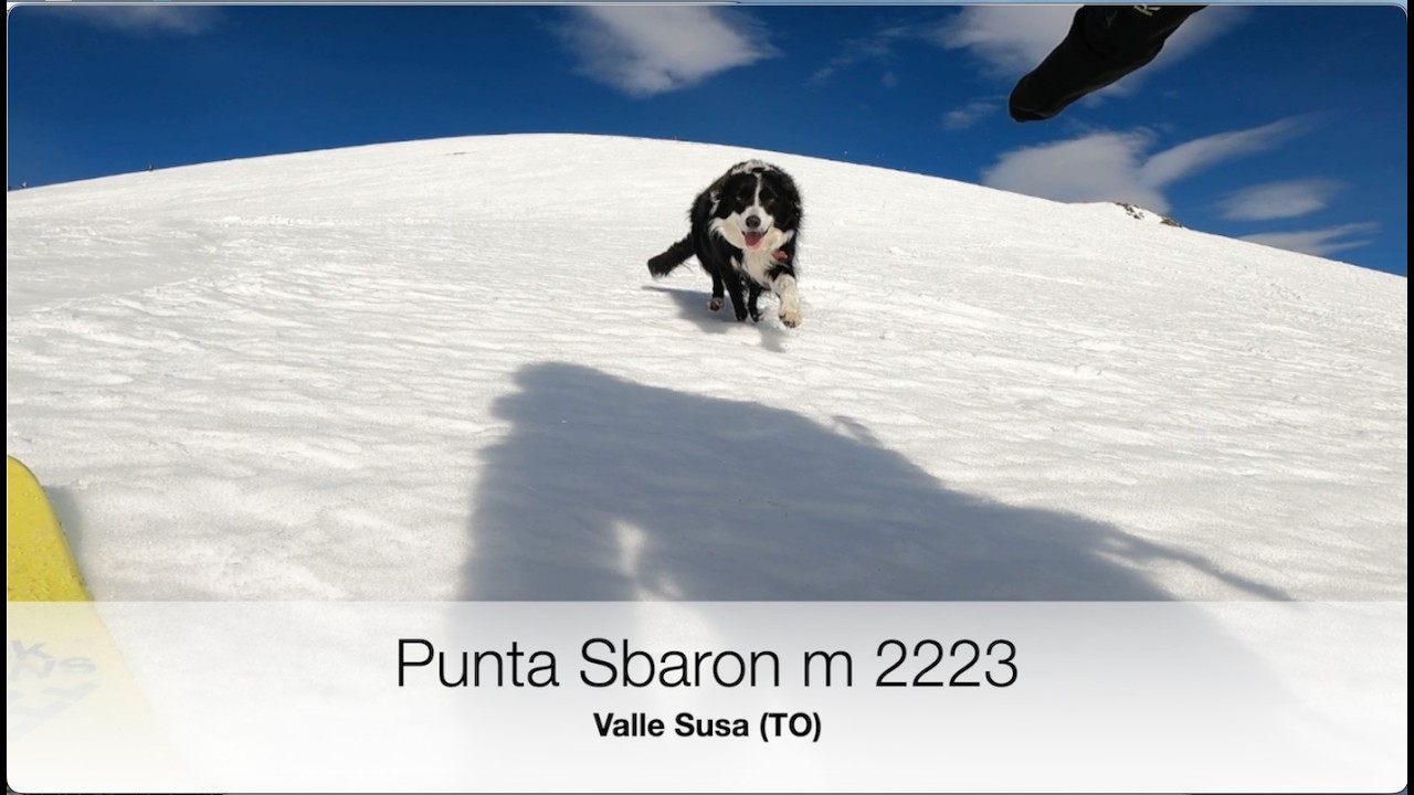 Punta Sbaron (Valle Susa) Skialp - m 2223
