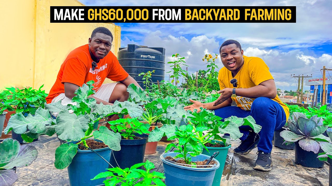 How To Make GHS 60,000($5025.13) Growing Habaneros As A Beginner in Ghana in 2023 