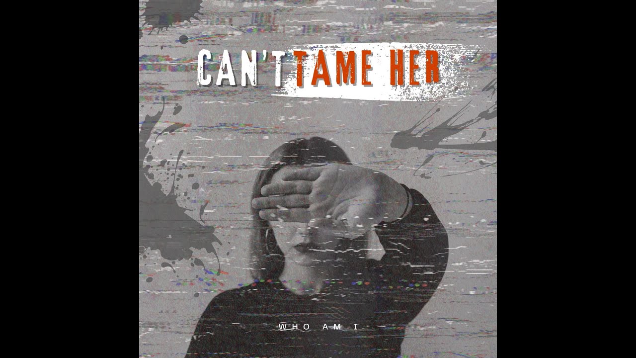 Zara Larsson Can't Tame Her - WhoAmI Remix/Cover