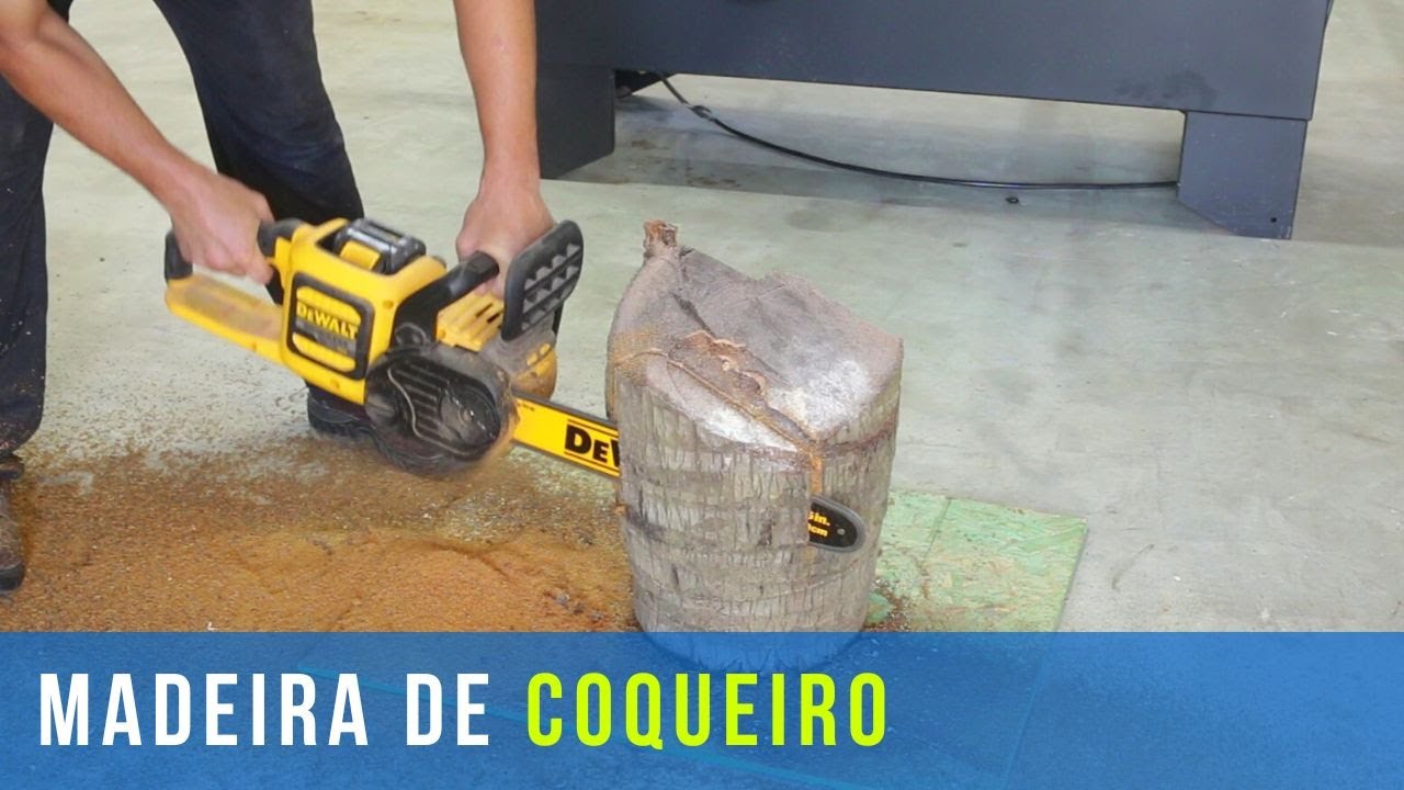 Madeira de coqueiro presta? Veja o que eu fiz