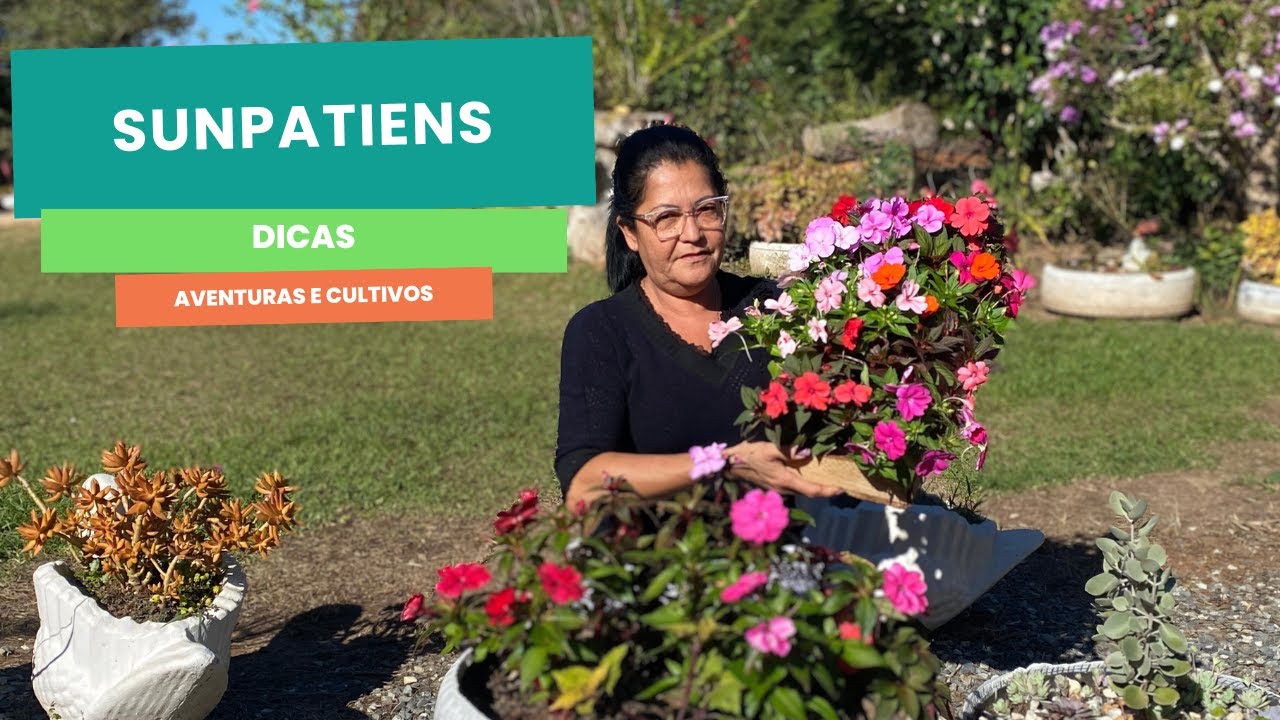 SunPatiens: Dicas Infalíveis para Plantar e Cuidar da Flor que Encanta o Ano Todo!