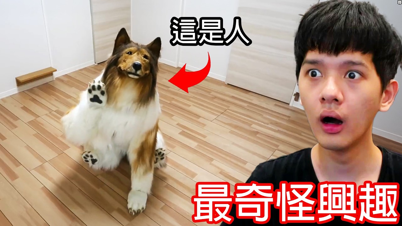【尊】那些小眾到你根本沒聽過的「最奇怪興趣」! ? 竟然有人為了成為狗花了幾十萬 ? ?【第二頻道】