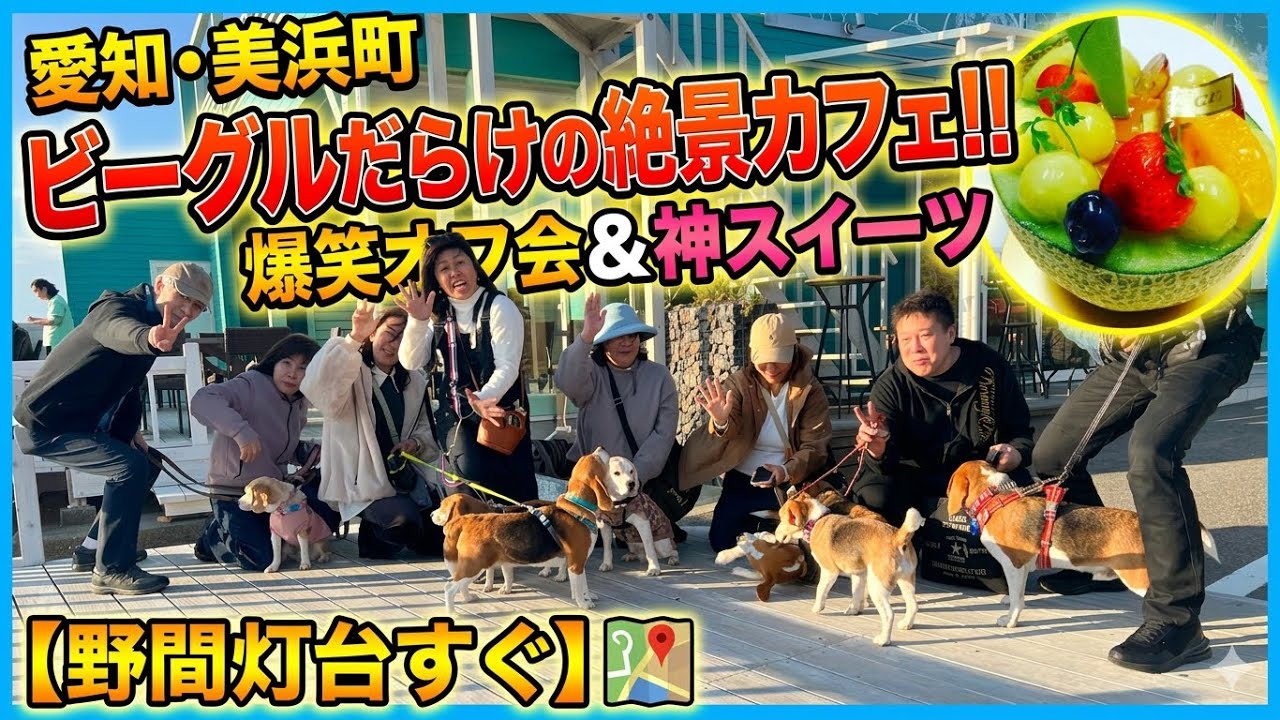犬と野間灯台と時々パフェ #犬とお出かけ #dog #いぬ #beagle #犬のいる暮らし #犬と泊まれる宿 