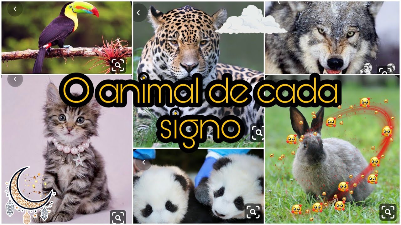 O Animal de cada signo -Mundo dos Signos