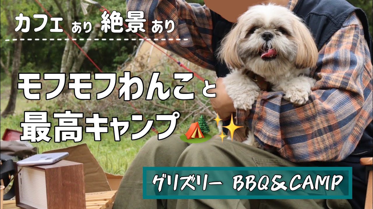 【犬連れキャンプ🏕️🐶】カフェあり絶景ありの楽しすぎた1泊2日！