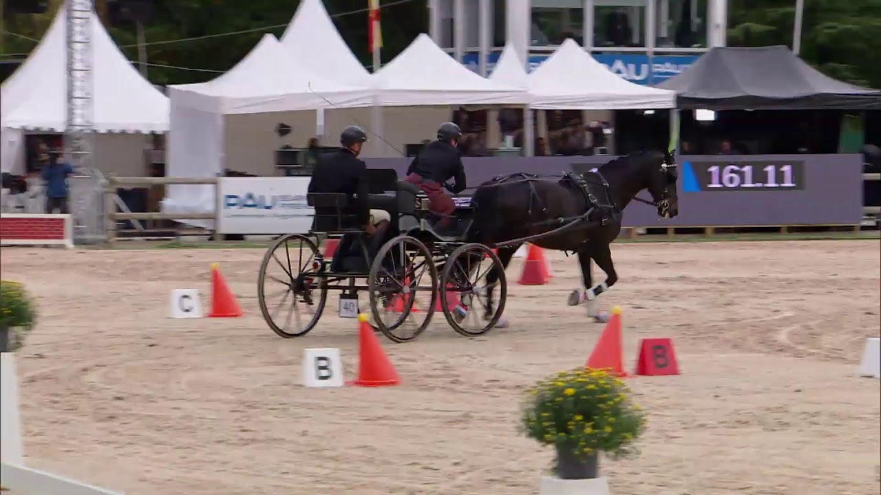 MANIABILITÉ FEI DRIVING WORLD CHAMPIONSHIP SINGLES 2020
