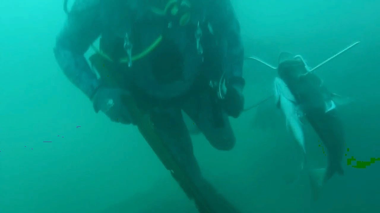 Pesca Submarina con botella, esta permitida en algunos países ¿Qué opinas de esta modalidad?