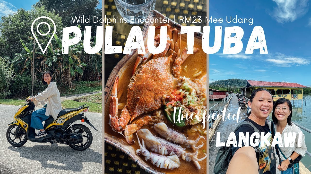 Langkawi  EP2｜ Pulau Tuba｜遇见海豚是福还是祸｜RM23 超值 Mee Udang 哪里找｜Vlog 13