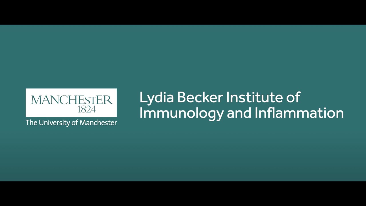Launch Video - Lydia Becker Institute of Immunology and Inflammation