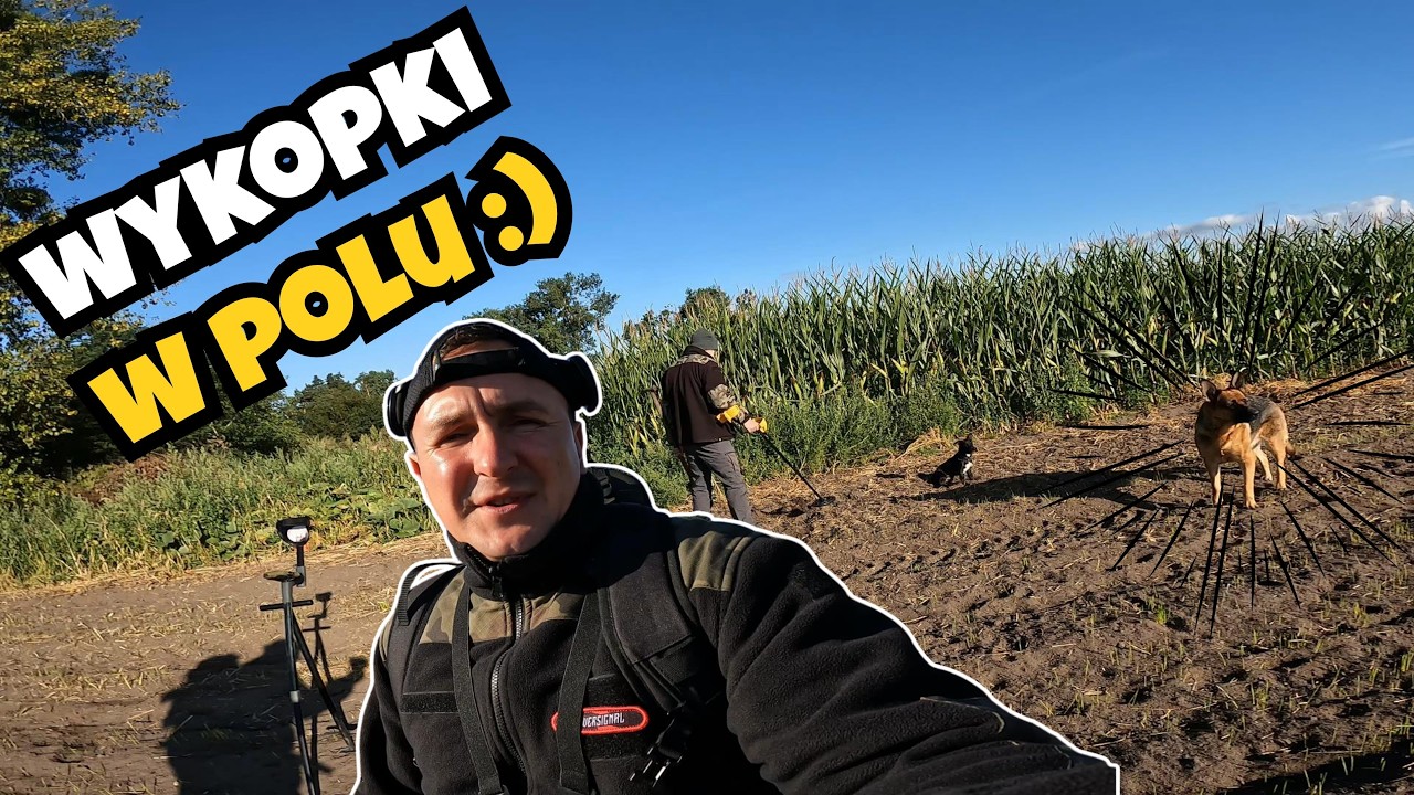 Poszukiwania wykrywaczem metali  na polu