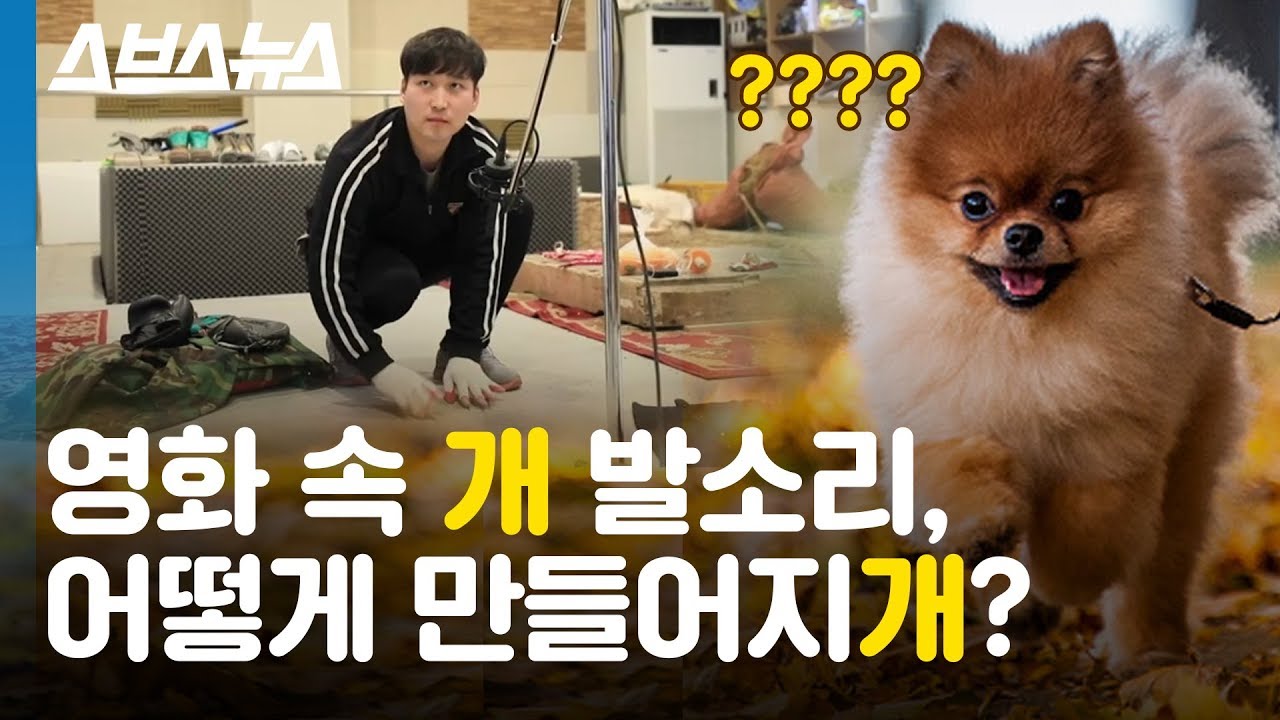 영화 속 모든 소리, 사실 누군가 만들어 낸 '가짜 소리'인 거 알고 계심? (ft. 폴리아티스트) / 스브스뉴스