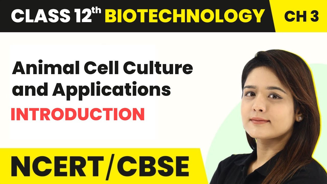 Animal Cell Culture and Applications - Introduction | Class 12 Biotechnology Chapter 3