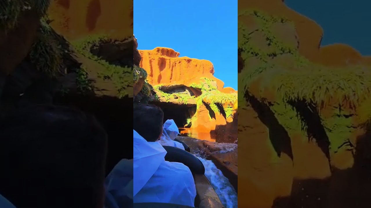 Magic Kingdom Day | Tiana’s Bayou Adventure, Cavalcade, Dumbo & Tiki Room