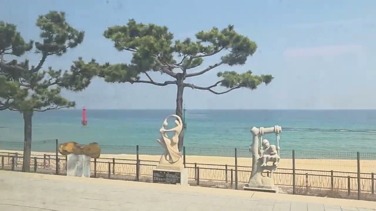 I want to see spring sea so I took KTX.  Gyeongju - Gangreung - Seoul