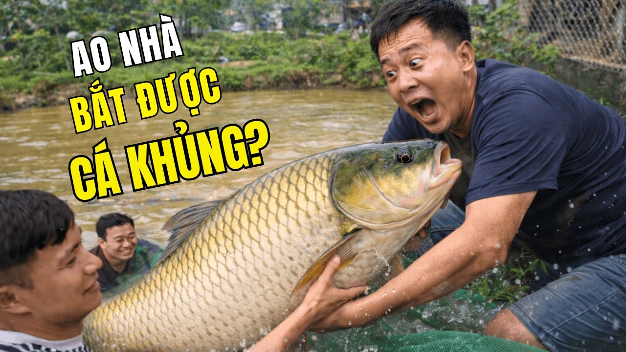 Kéo Lưới Ao Nhà... Cả Nhà Đứng Hình! Toàn Hàng Khủng!