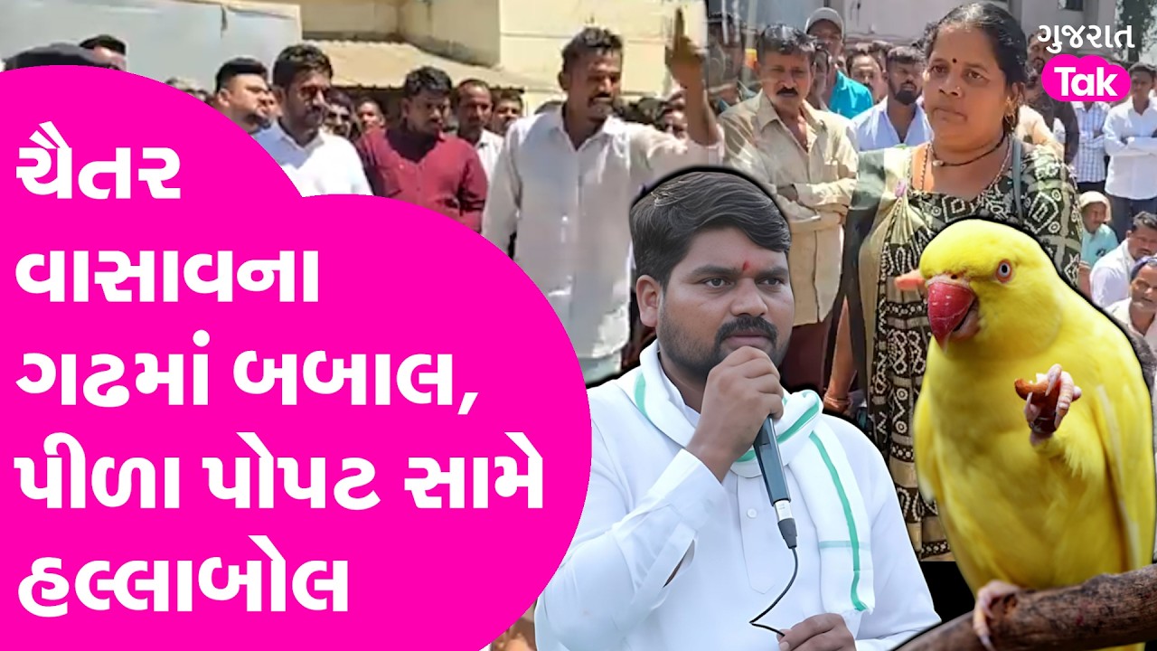Dediapada માં Dumkhal ની બબાલ, પીળા પોપટ મુદ્દે હલ્લાબોલ