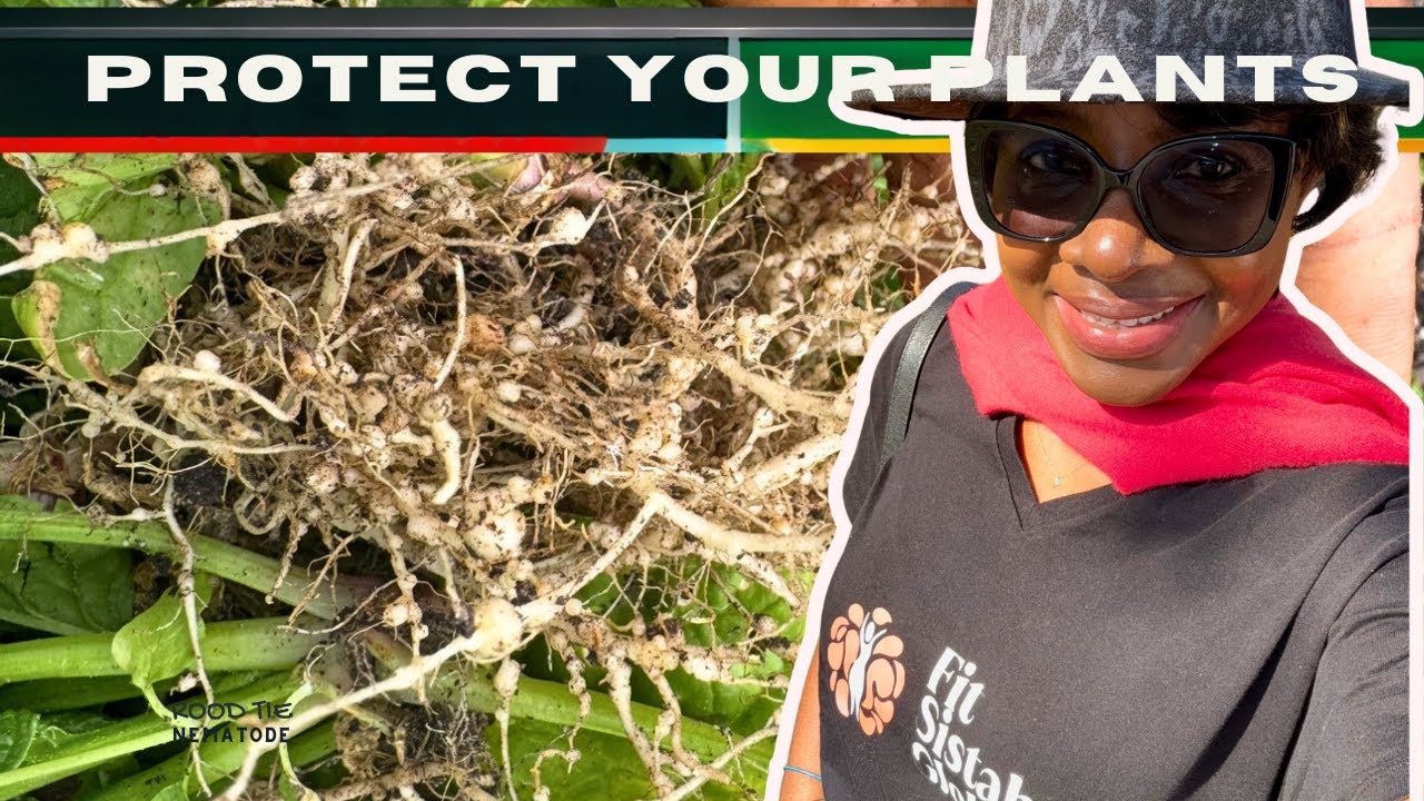 How to Control Root Knot Nematodes in Your Home Garden | Organic & Chemical Solutions