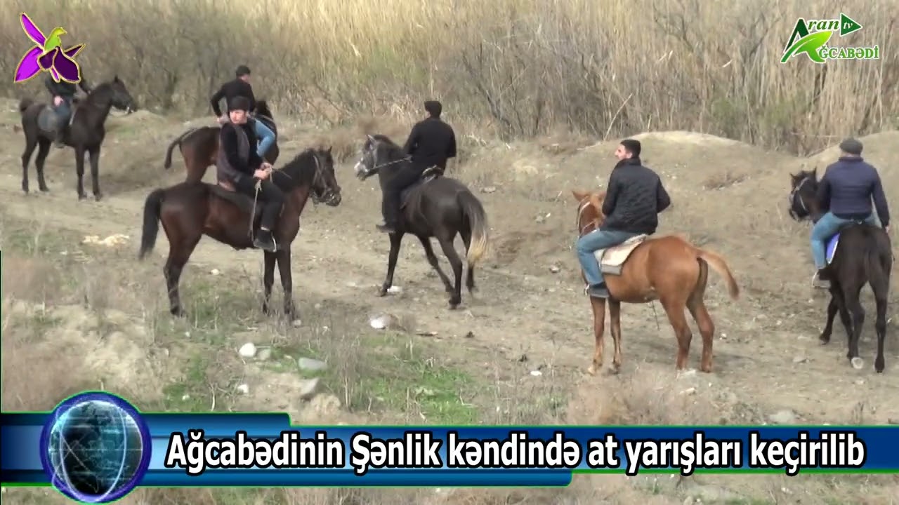 Ağcabədinin Şənlik kəndində at yarışları keçirilib