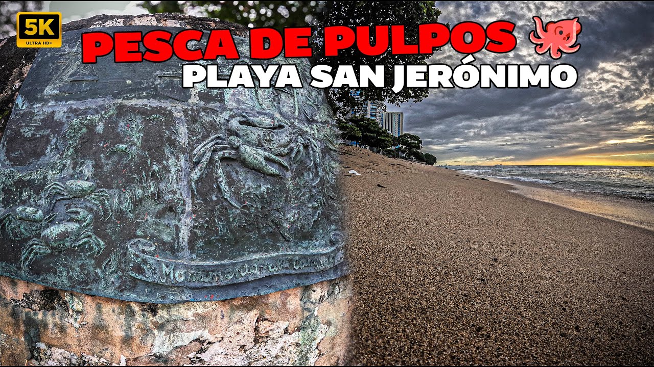 PESCA DE PULPOS 🐙 FRENTE AL ANTIGUO RESTAURANTE VESUBIO, PLAYA SAN JERÓNIMO