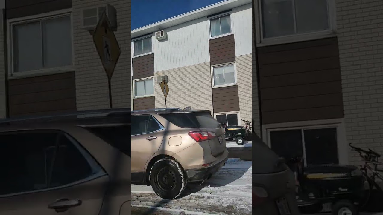 The small town of Cobden, Ontario, Canada, January 2025.