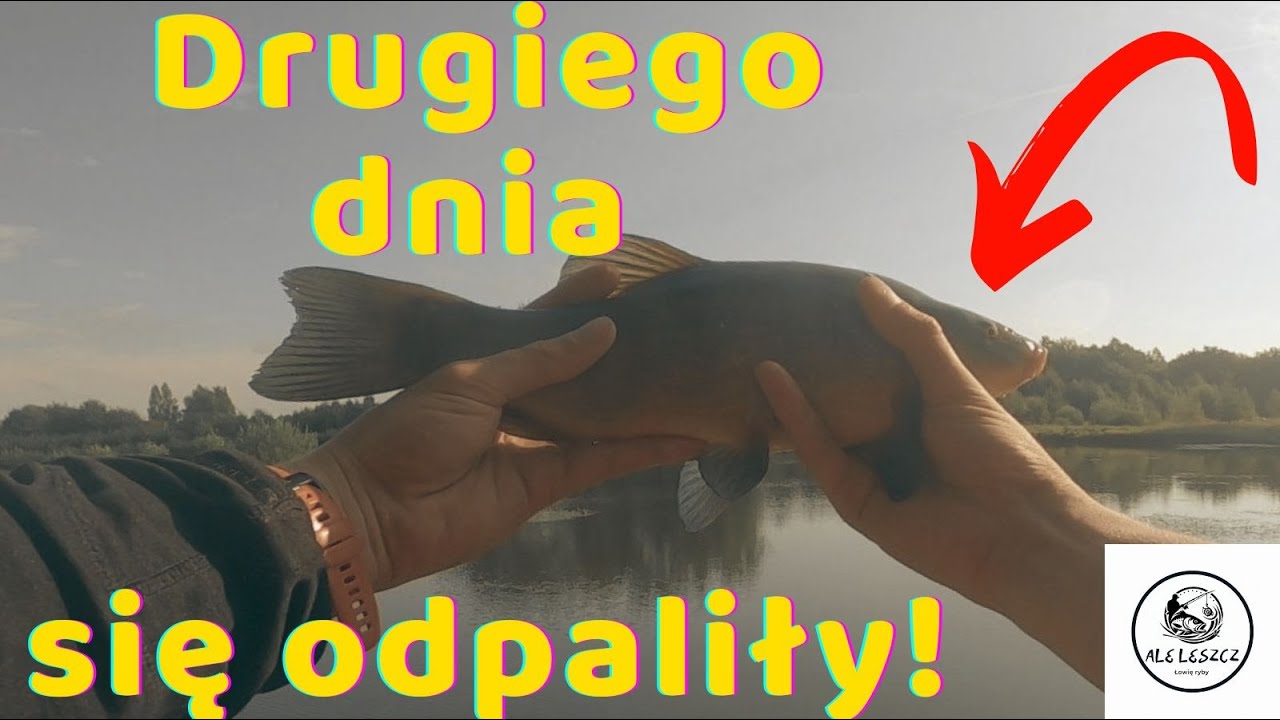 RYBY ODPALIŁY DOPIERO DRUGIEGO DNIA | FEEDER | KASZUBSKA OSTOJA