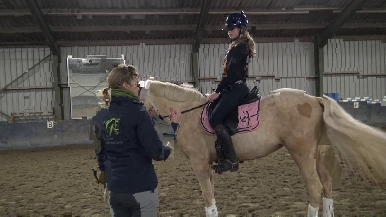 Houding & Zit verbeteren op je paard l Houding & Zit met Roos Dyson