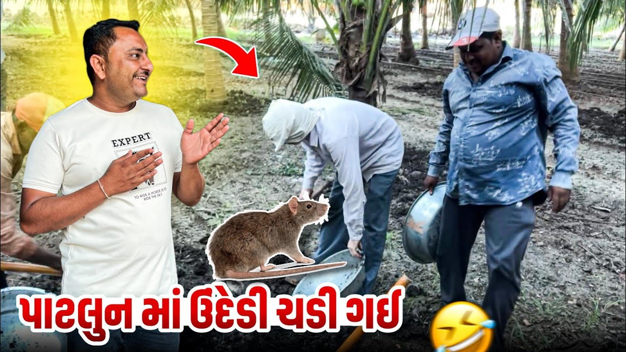 પાટલુન માં ઉંદેડી ચડી ગઈ 🤣 ||  Family Vlog || Gujarat Vlog || Paresh Bharti Vlog