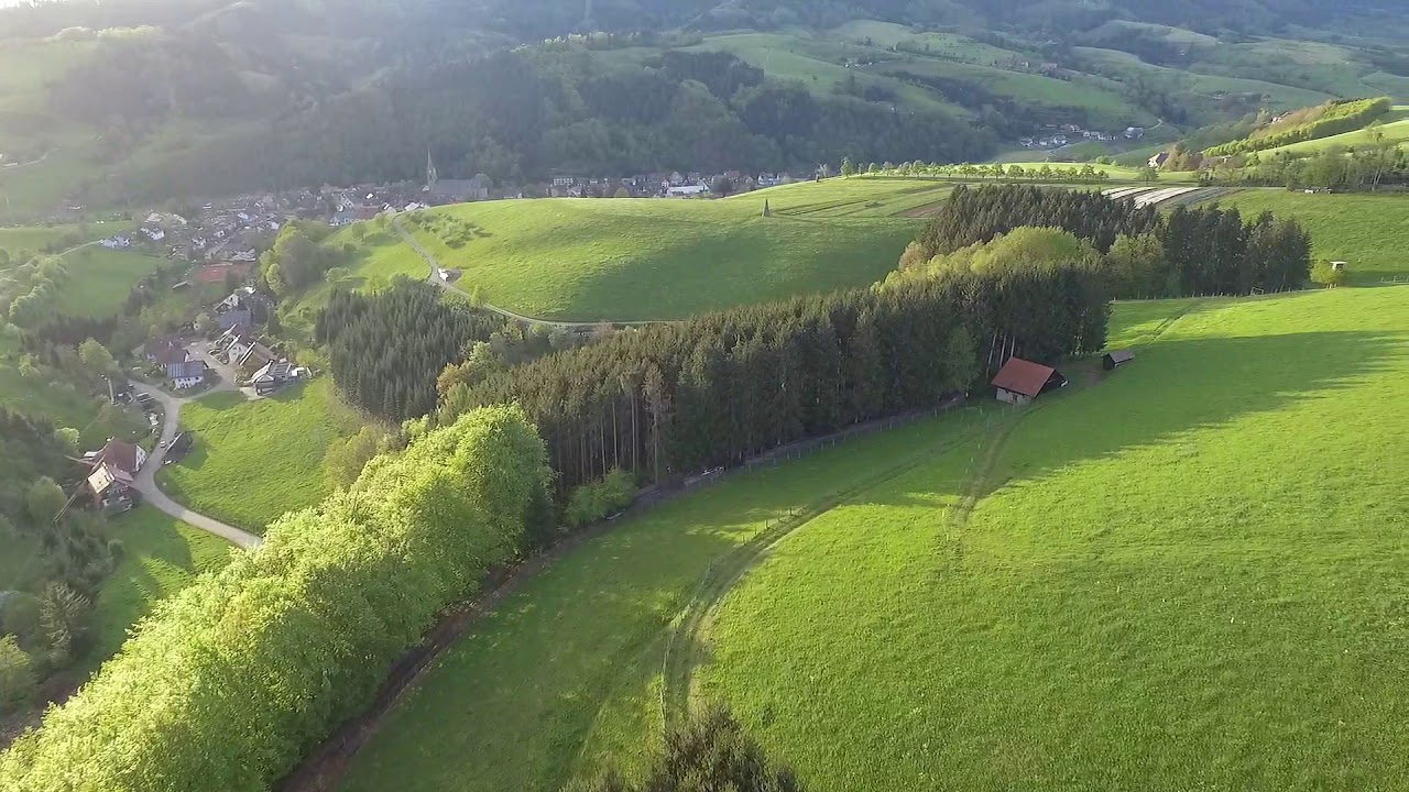 Oberharmersbach - Abends am Langenberg und Wolfsbach