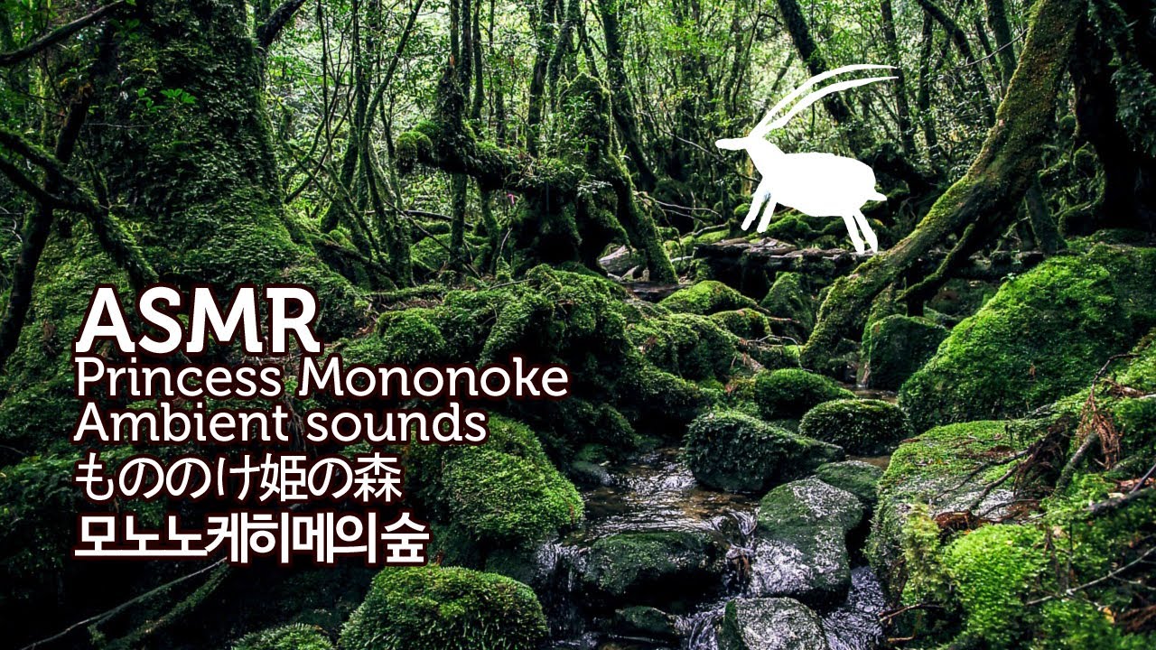 ASMR Princess Mononoke 3D Ambient Sounds | 모노노케히메의 숲 입체 음향 | もののけ姫の森 | 원령공주