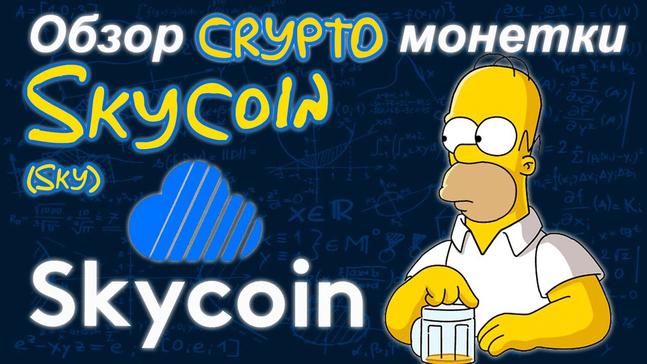 Skycoin (SKY) обзор криптомонетки