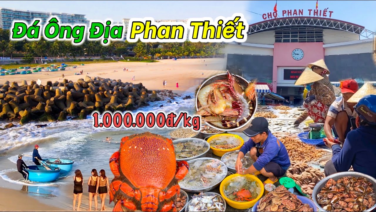 Chợ Lớn Phan Thiết Đậm Chất Chợ Xứ Biển | Món Chả Trứng Mực Ăn Là Ghiền