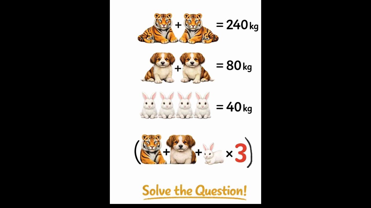 Can You Solve This Tricky Animal Equation? 🤯🐼🦁