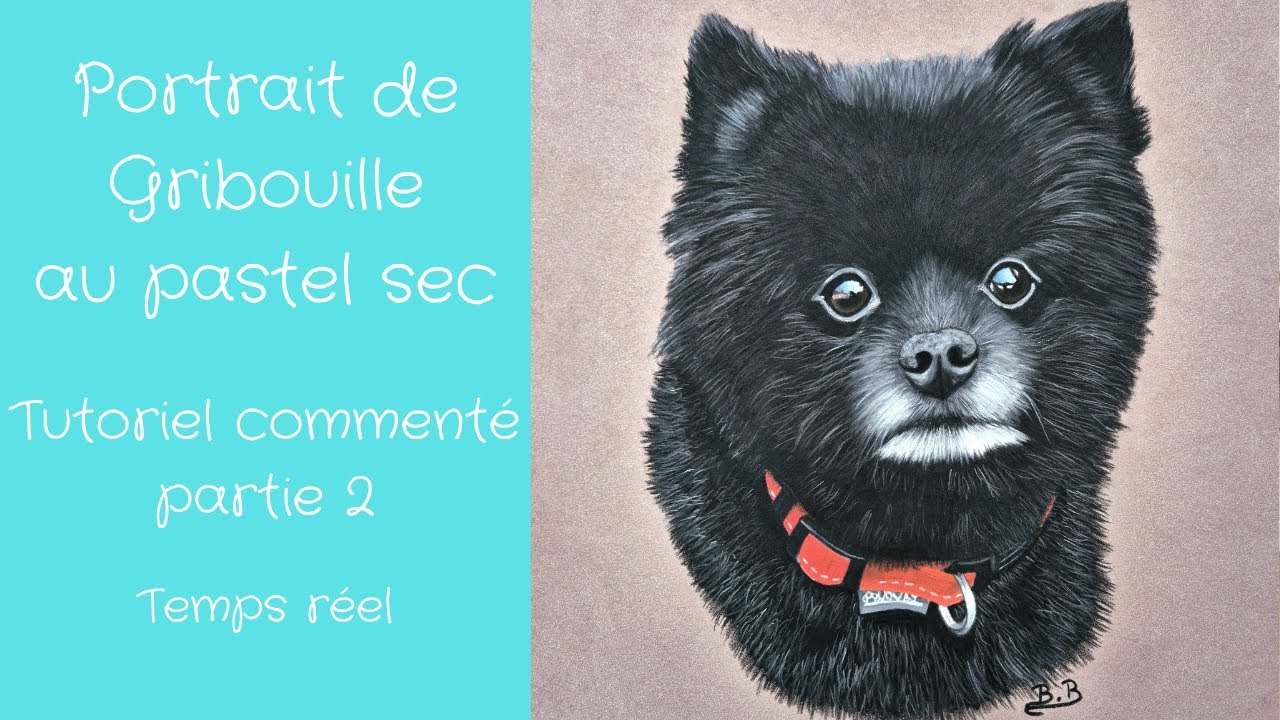 Tutoriel en temps réel commenté d'un portrait au paste sec. Spitz Allemand  Partie 2