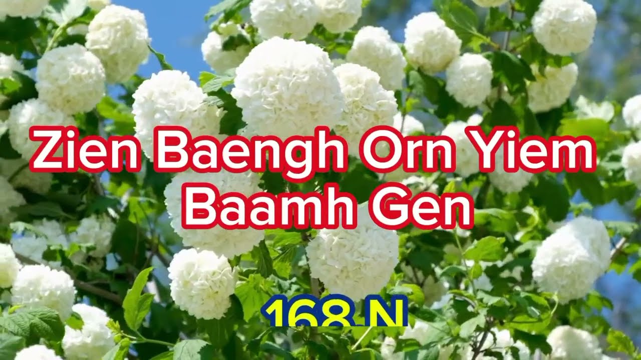 168.N) Zien Baengh Orn Yiem Baamh Gen 