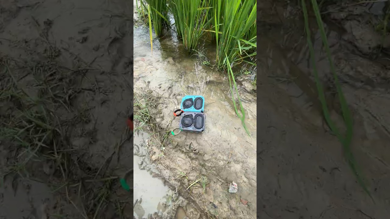 JBL Go 4 Speaker Jumping Bass Test in River Water 🌊🔥