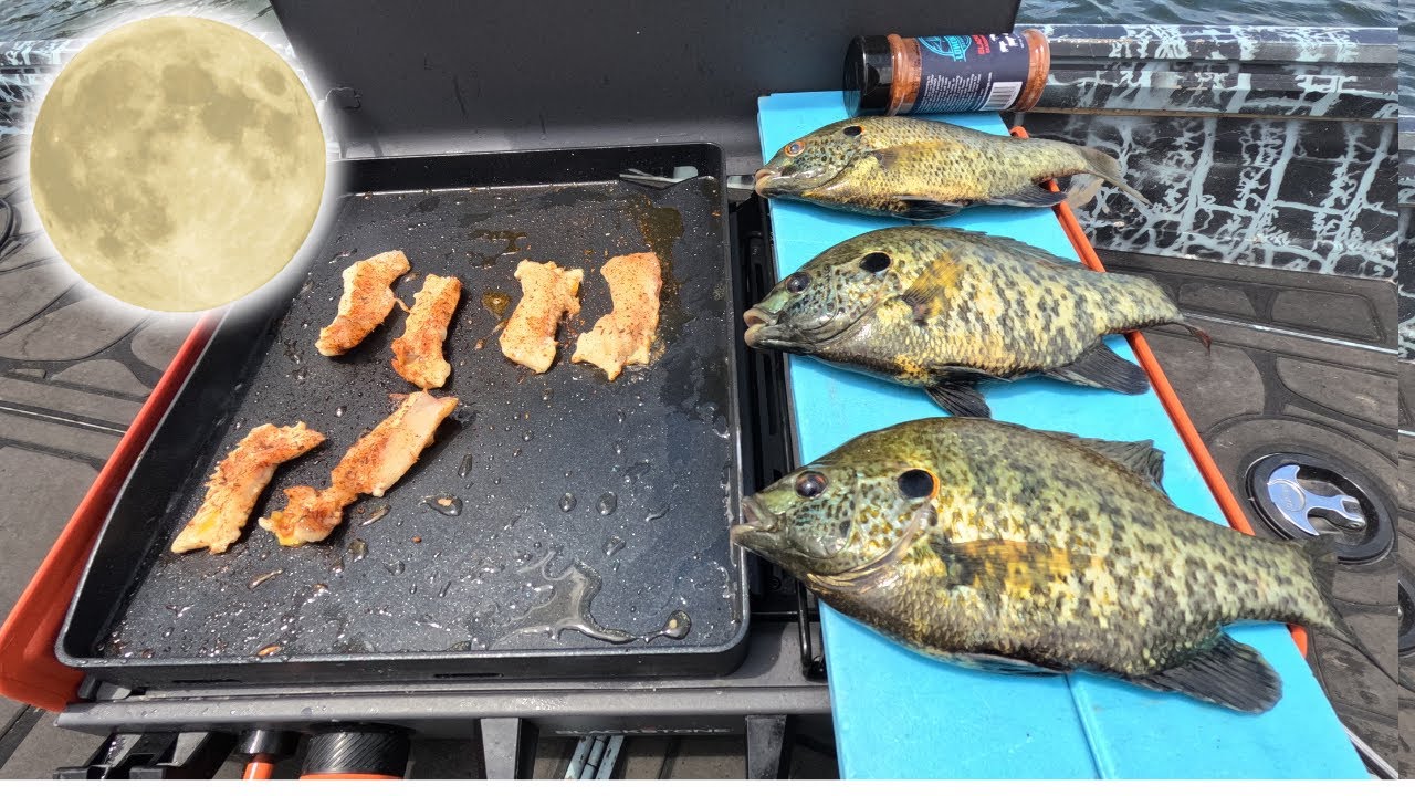 Blackened Shellcracker Catch n' Cook! How to Find BIG Bream on the Full Moon!